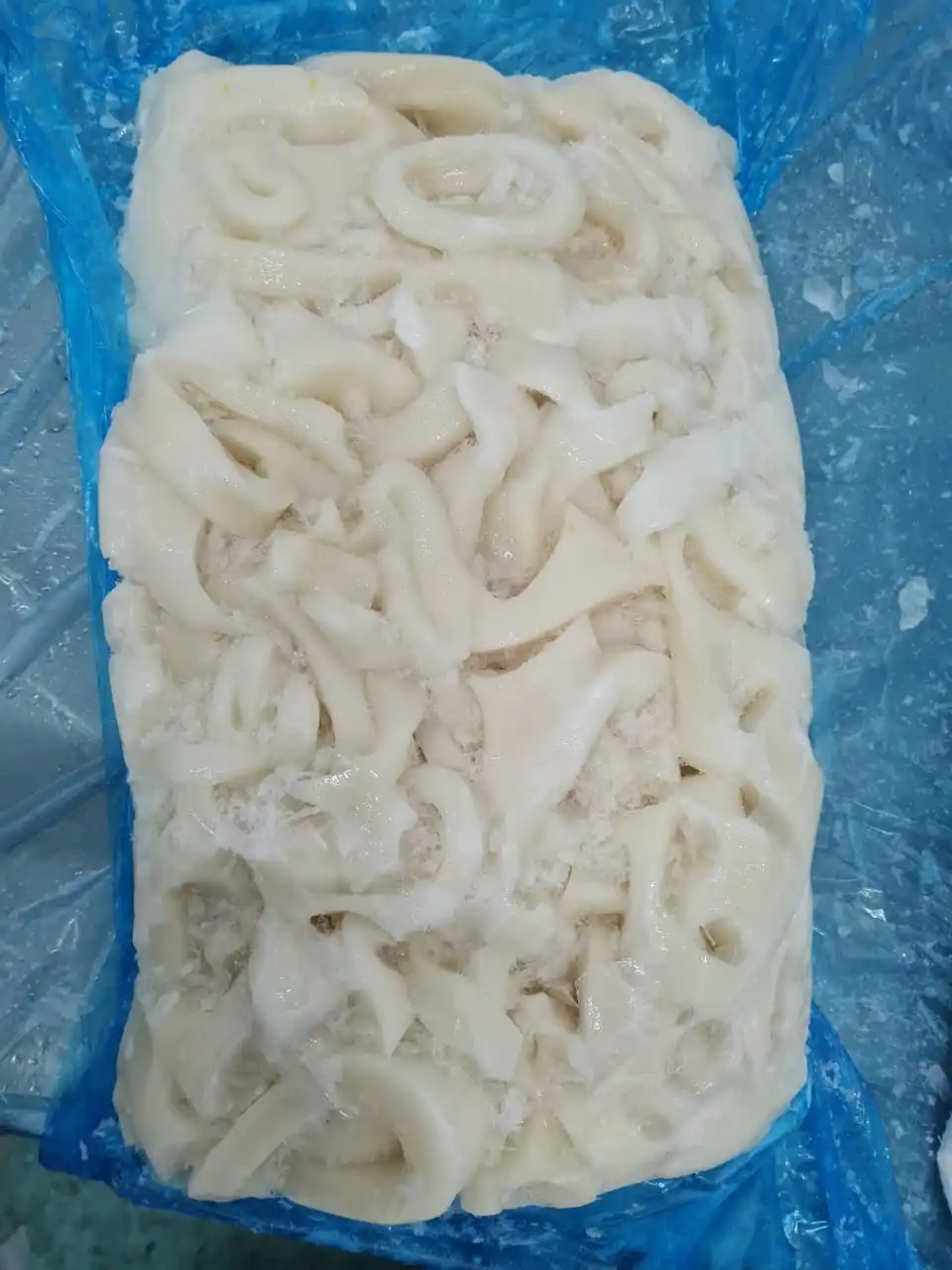 Frozen Giant Squid Meat Frozen Giant Squid Bits and Pieces