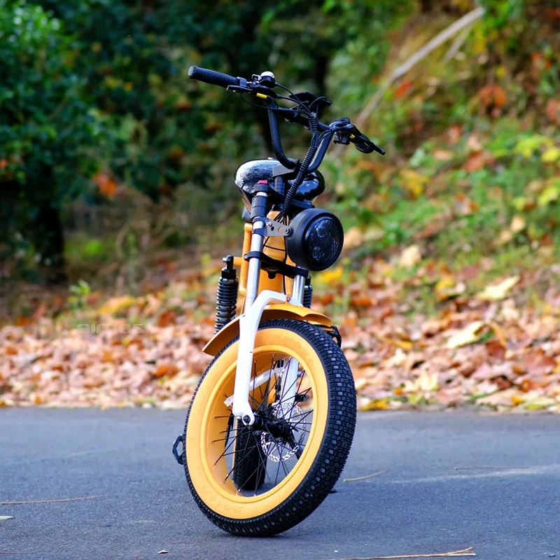 electric bike 1000w