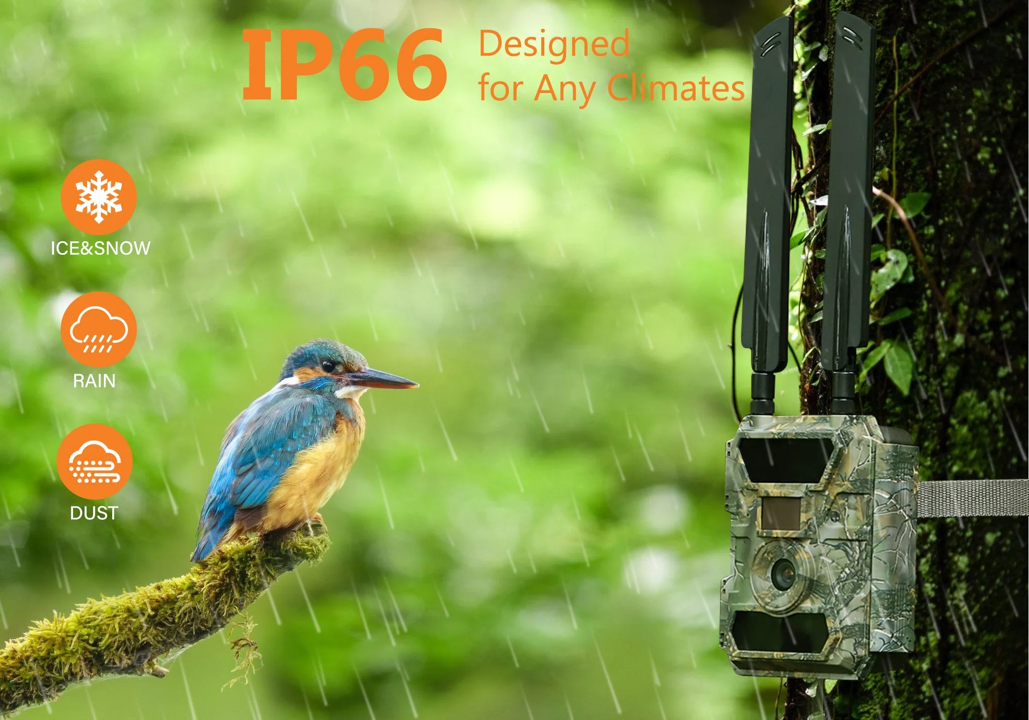 IP66 Waterproof 24MP Scoutguard Trail Camera Hunting Night Vision Mini Camera Infrared Hunting Camera