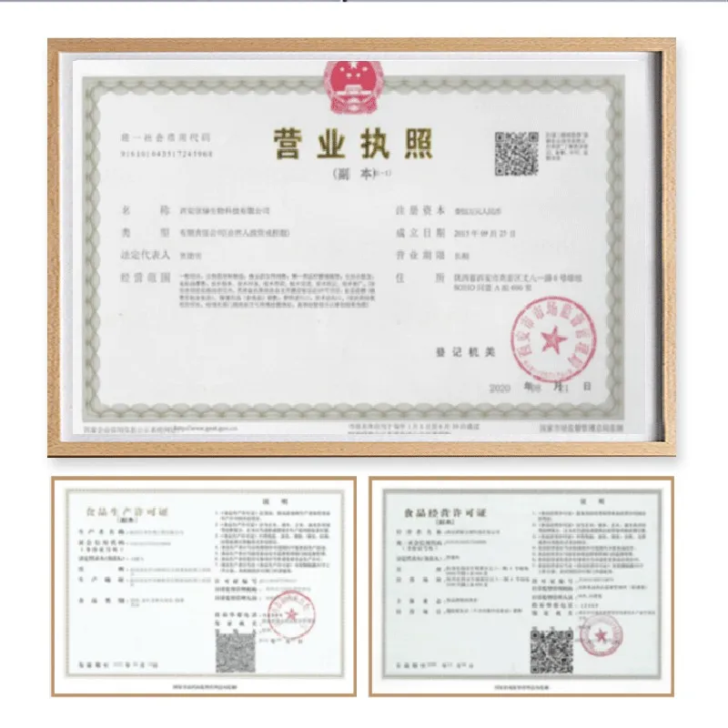 Bulk Moringa Powder Natural Pure Moringa Leaf Extract Moringa Leaves Powder