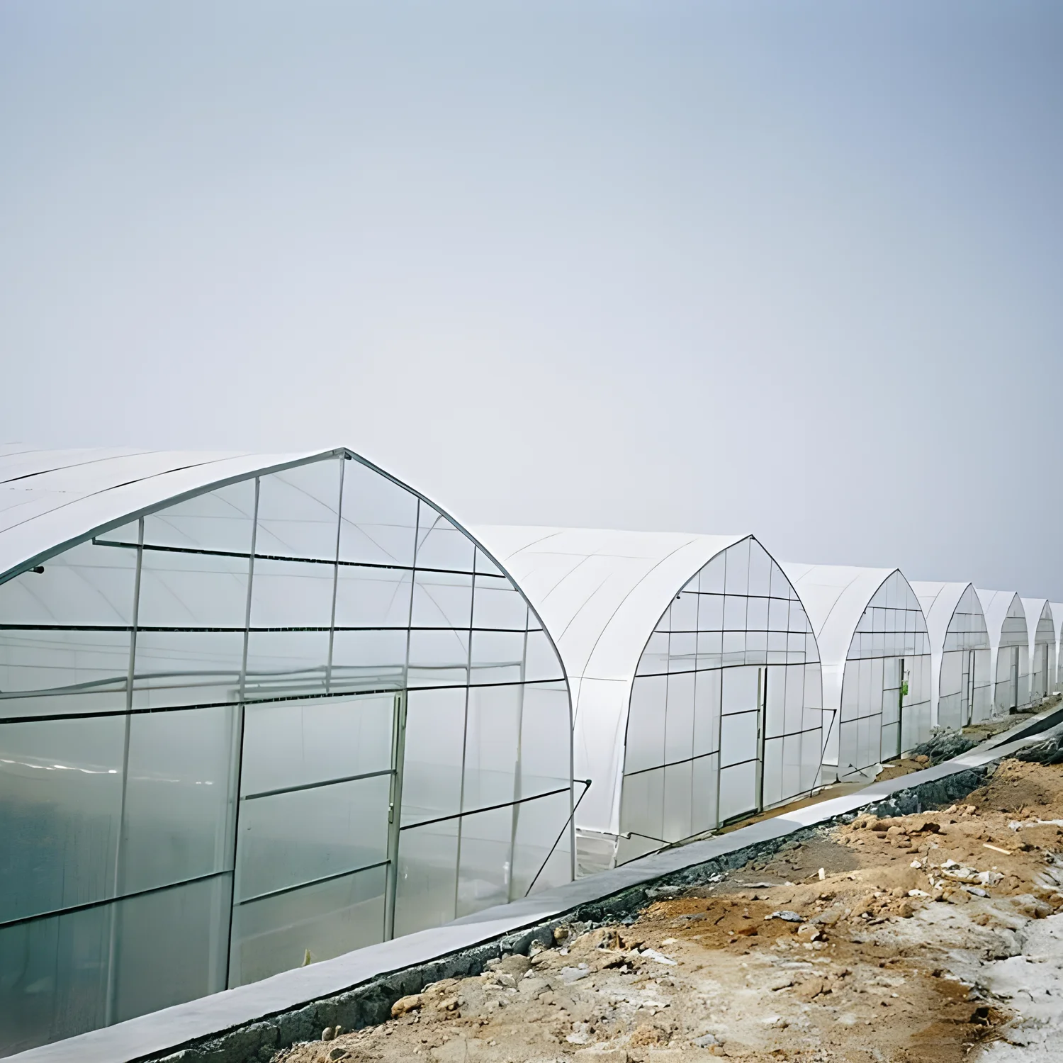Large Size High Tunnel Agricultural Single-Span Film Greenhouse for growing Tomato Greenhouse