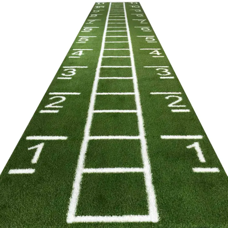 Custom Design Skid Resistance Turf Track, Wear Resistant Gym Training Turf/