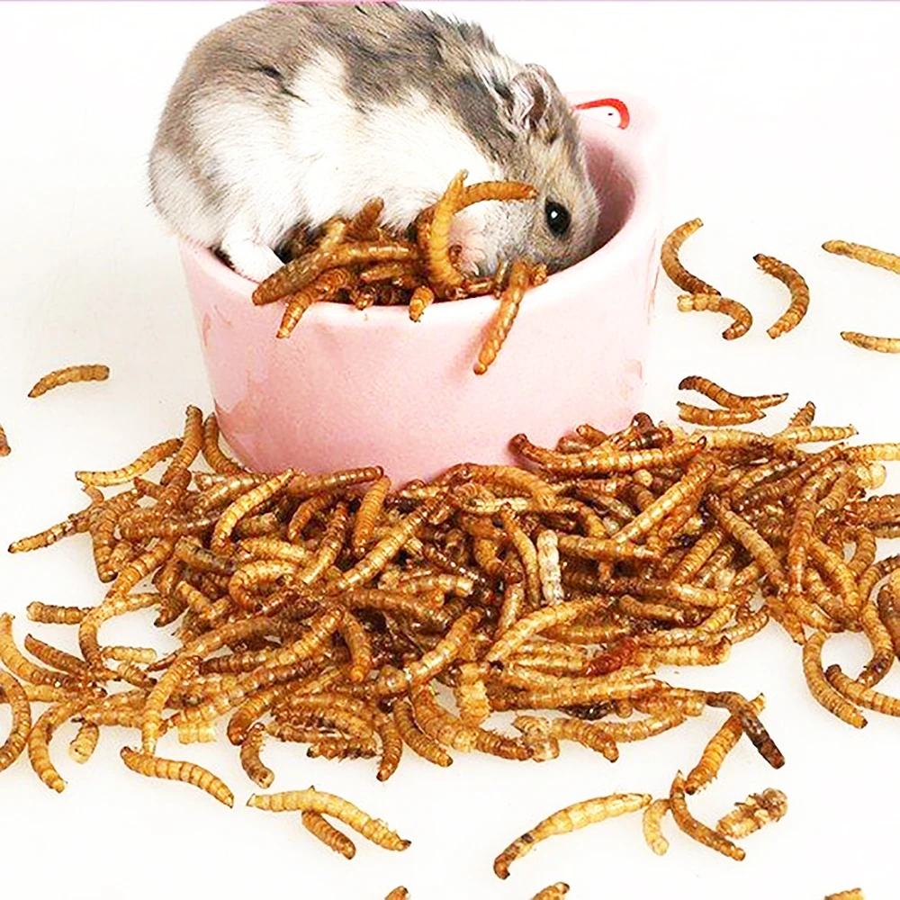 Microwave & Freeze Dried Tenebrio Molitor /Yellow Mealworms for fish&bird