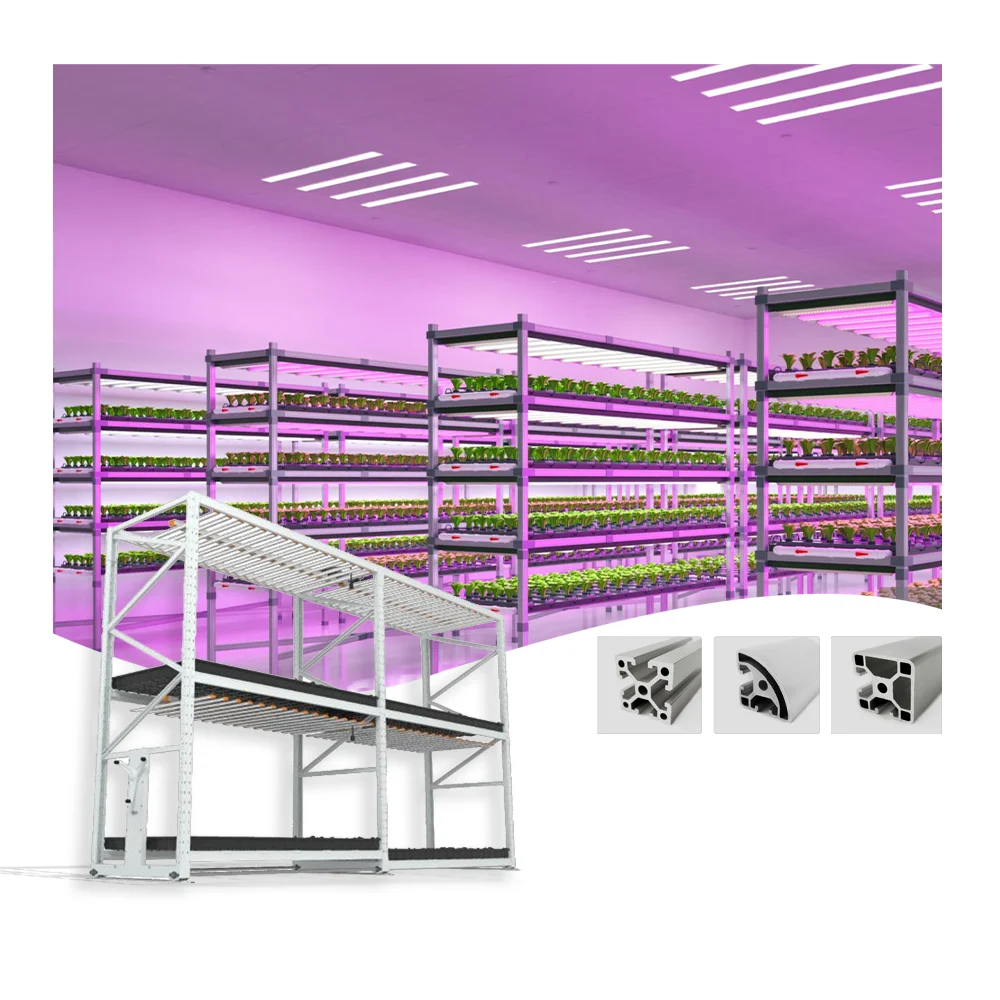 100*100 Custom Multi Tier Indoor Cultivation Plant Led Grow System Movable Rolling Hydroponic Vertical Farming Mobile Grow Rack