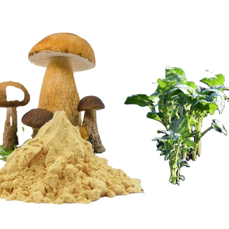 Mushroom/Aspergillus Niger Chitosan Oligosaccharide for health supplements ISO9001 kosher