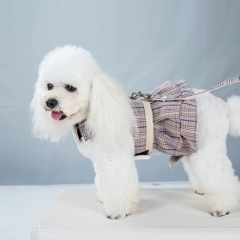 Dog Harness Set Custom Personalized New Pet Chest Strap Couple Costume Vest Dog Towing Rope Set Pet Supplies