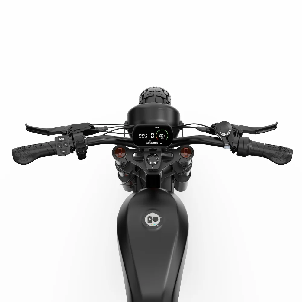 DUOTTS Wholesale 750W Rear Hub Motor 52V 27Ah 20*4.0 Wheel Diameter Aluminium Alloy Electric Mountain Bike Disc Lithium Battery