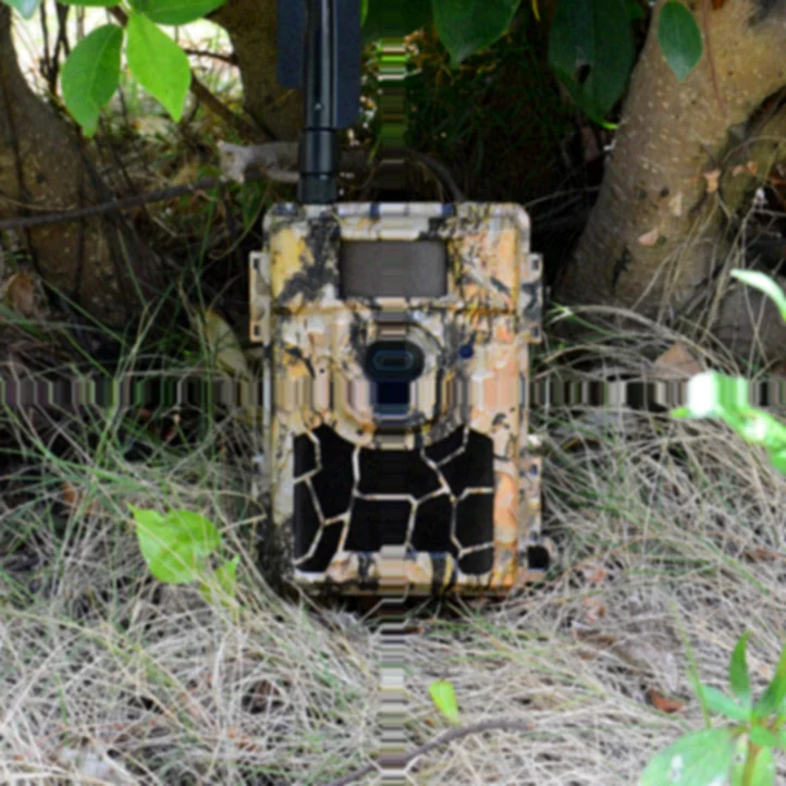 Sifar Manufacturer 1080P Video Recorder LTE SMTP MMS GPRS FTP GSM 4G Hunting Camera