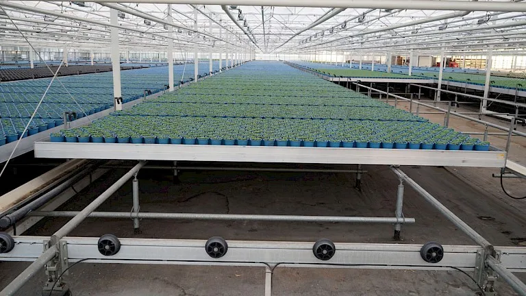 Modern logistics seedbed portable greenhouse rolling bench