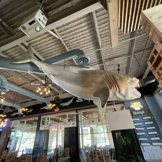 Life-size fiberglass shark