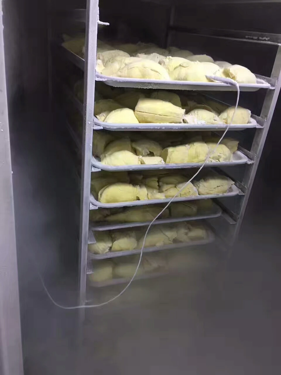 All Kinds Of Fish Fillet Shrimp Liquid Nitrogen Cabinet Freezer 600kg/h Double Door Seafood Freezer Fresh Quick-freezing Machine