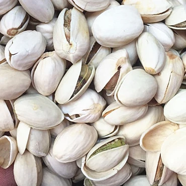 Pistachio Nuts Pistachio Premium Style Packaging Food Organic Origin Type Nut Dried Grade Place Model HACCP Cultivation Blanched