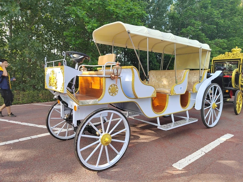 Wonderful wedding Sightseeing Horse Carriage With Canopy/Sightseeing Electric Carriage