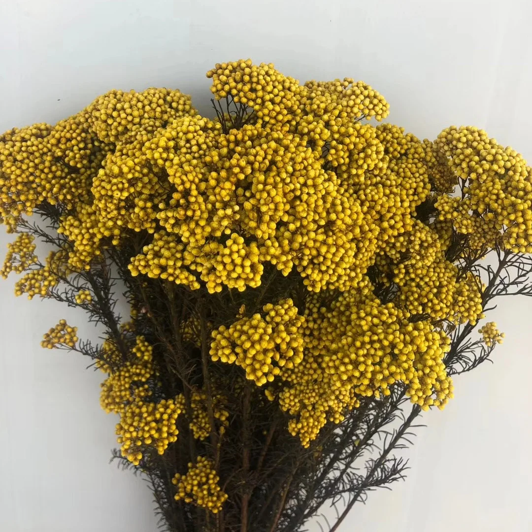 Dry Rice flower preserved millet flower bouquet wholesale