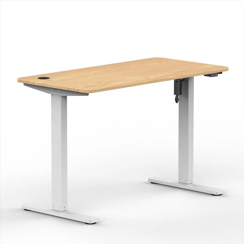 Electrically Height Adjustable Table Frame Single Motor Lifting System Ergonomic Learning Table Sit Stand Desk