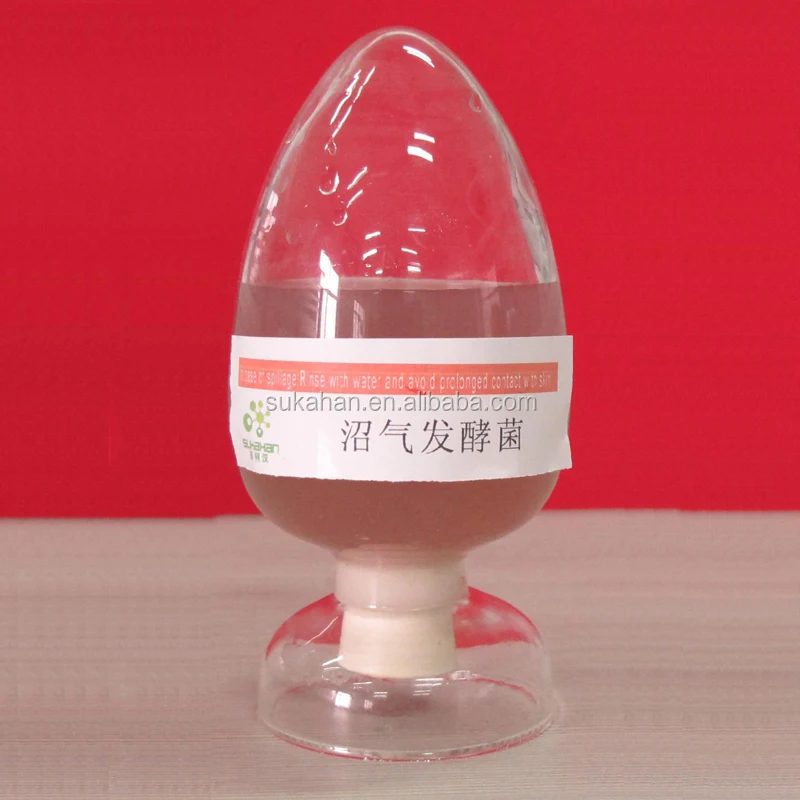 Biogas Fermentation Bacteria ZH-1001 the early stage of biogas fermentation