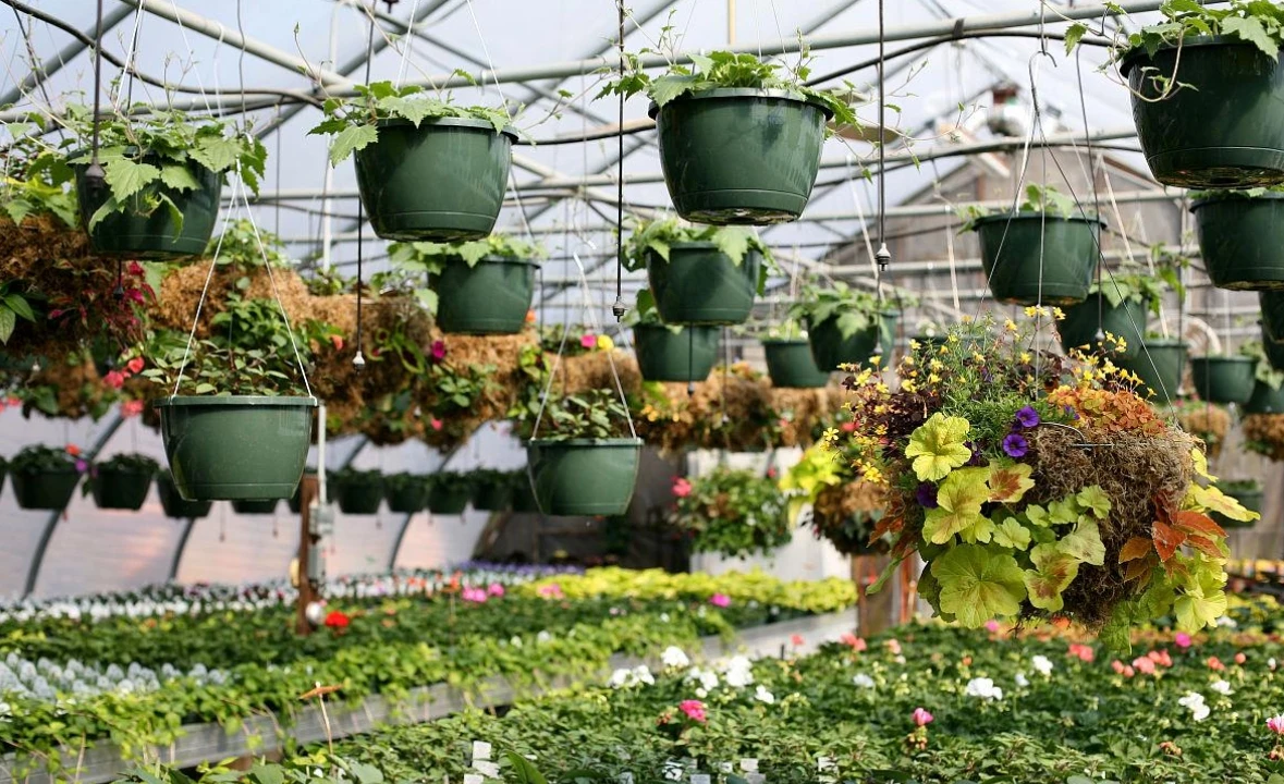 Industrial PE Plastic Film Greenhouse Polytunnel Polycarbonate Agriculture Awning Small Large Layer Greenhouse