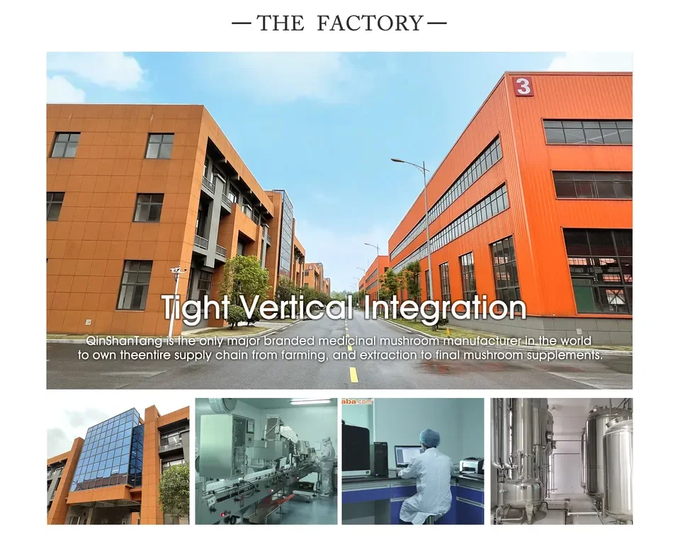 Bulk Organic e6 Spirulina Extract Powder Skin Care Phycocyanin e6 Raw Materials Spirulina Tablets