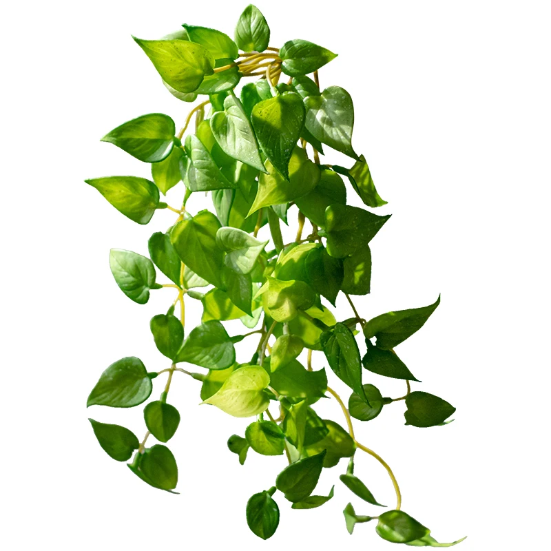 Simulation Plant Green Dill Copper Money Grass Vine Hanging Green Plant Simulated Plant Vine