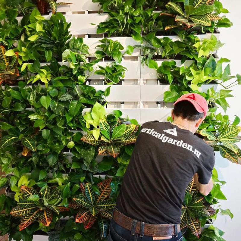 
Vertical garden ,green wall ,Plantet,Garden Wall Planters wall 