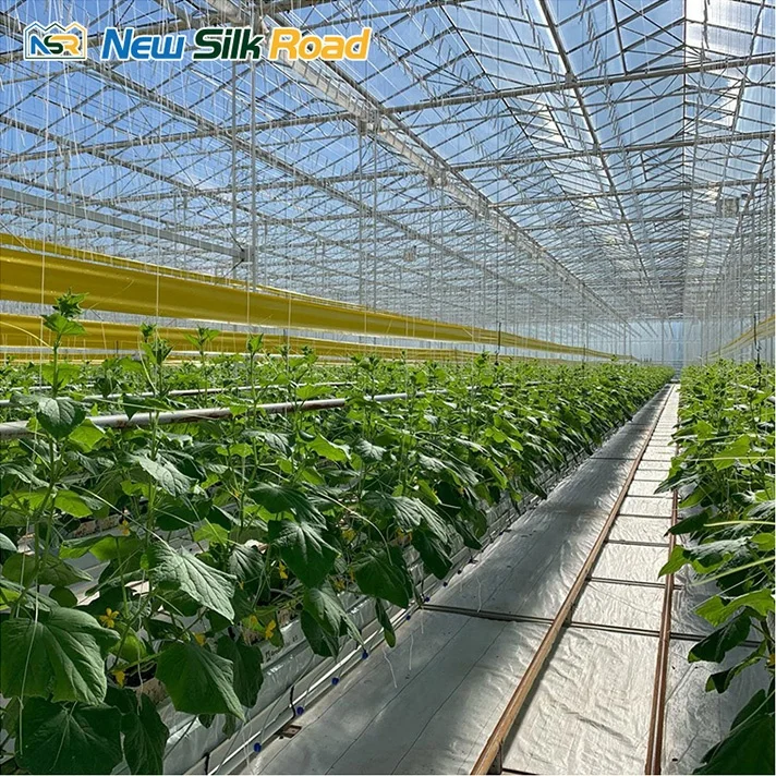 multi-span venlo glass polycarbonate greenhouse mini greenhouse glass greenhouse for agro