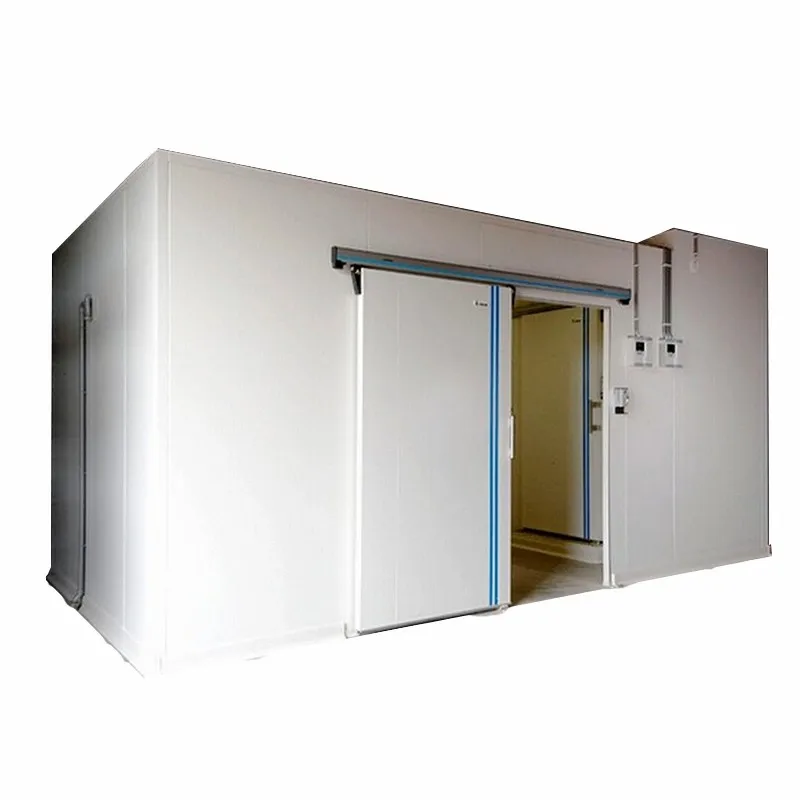 Industrial Electric Insulation PU Sandwich Panels Slide or Swing Cold Storage Doors for Rooms