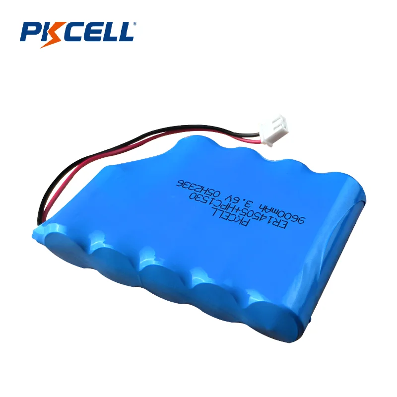 Customized LI-Battery Pack 3.6V 5400mAh ER14505-2 Parallel 1S2P with spc1530 1520 LI-ION battery