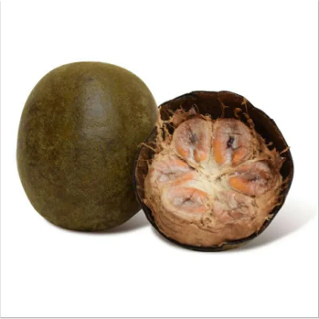 Premium Quality Fresh Delicious Organic Dried Herb Monk Fruit Luo Han Guo Momordica Grosvenori