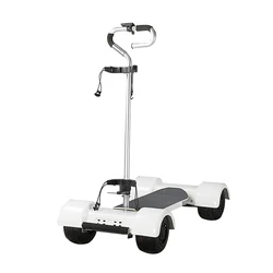 ESWING 4 Wheeler golf cart scooter for sale max load 150kg golf bike electric scooter golf skateboard