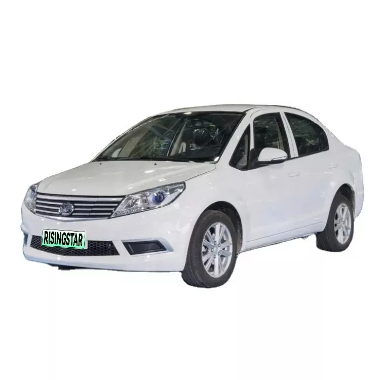 High Speed Automotive Rising auto New Energy Vehicle  Suda SA01 City SUV Electric Cars