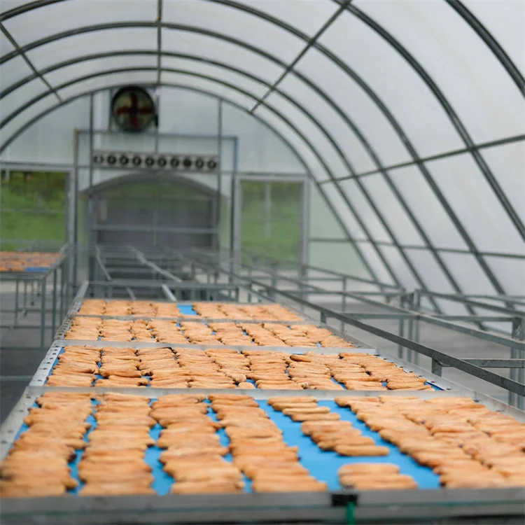 Drying chilli solar dry greenhouse for vegetables and fruits