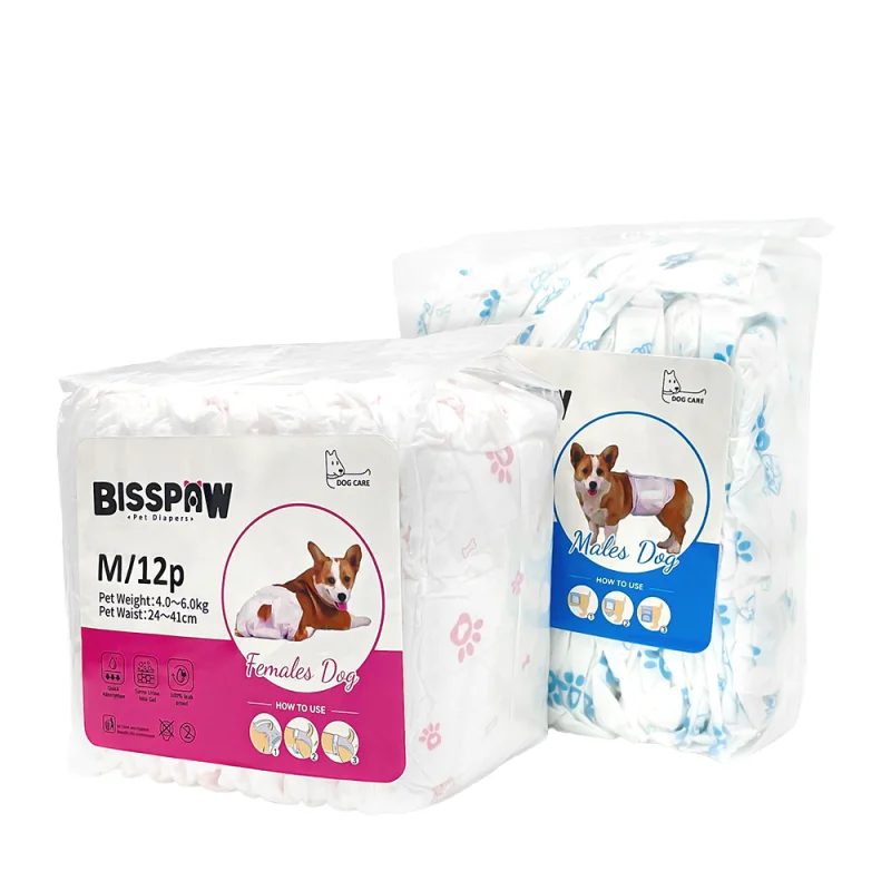 Pet Diaper M Size Disposable Dog Diaper Physiological Female Dog Nappy Technology Good Price Pet Diaper Dog Training Pee