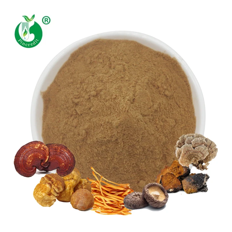 Органический порошок грибной смеси Reishi Cordyceps Львиная Грива и порошок экстракта грибов Chaga