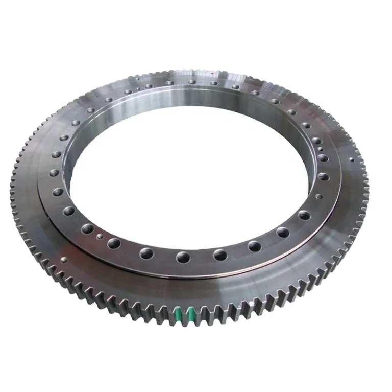 Germany Quality Slewing Ring Bearing with 1 Year