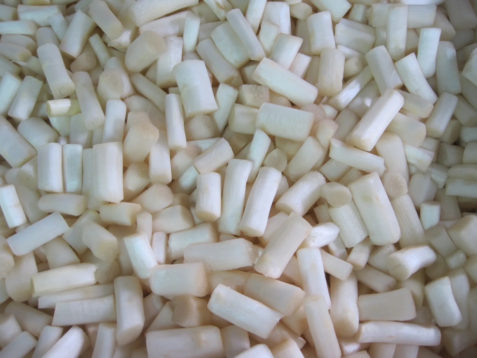 Китай HACCP BRC IQF замороженная белая спаржа копье