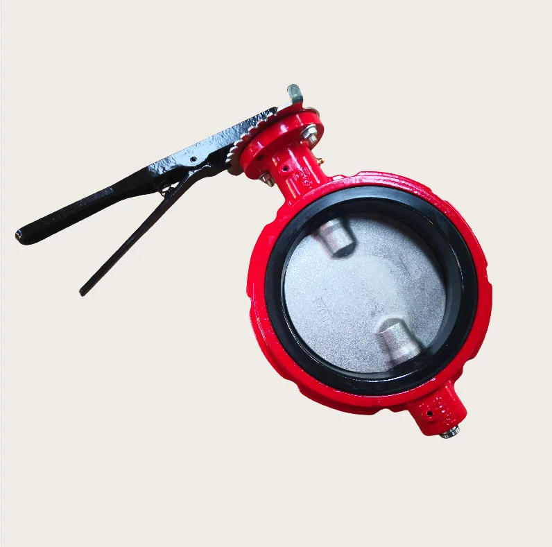 6 Inch ANSI CL150/ANSI125 Ductile Iron Ggg50 Red Color Wafer Type Butterfly Valve Suitable for American Market