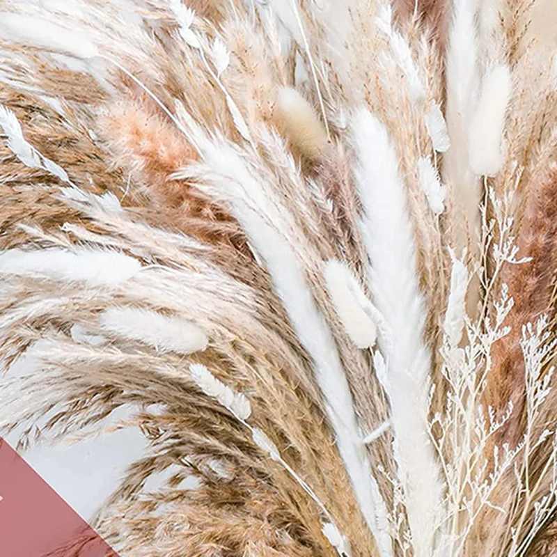 Artificial Flowersreed Grass Simulation Cream Pampas Grass Fluffy Natural Bunny Tail Grass Dried Flowers Bouquet Boho Home Decor