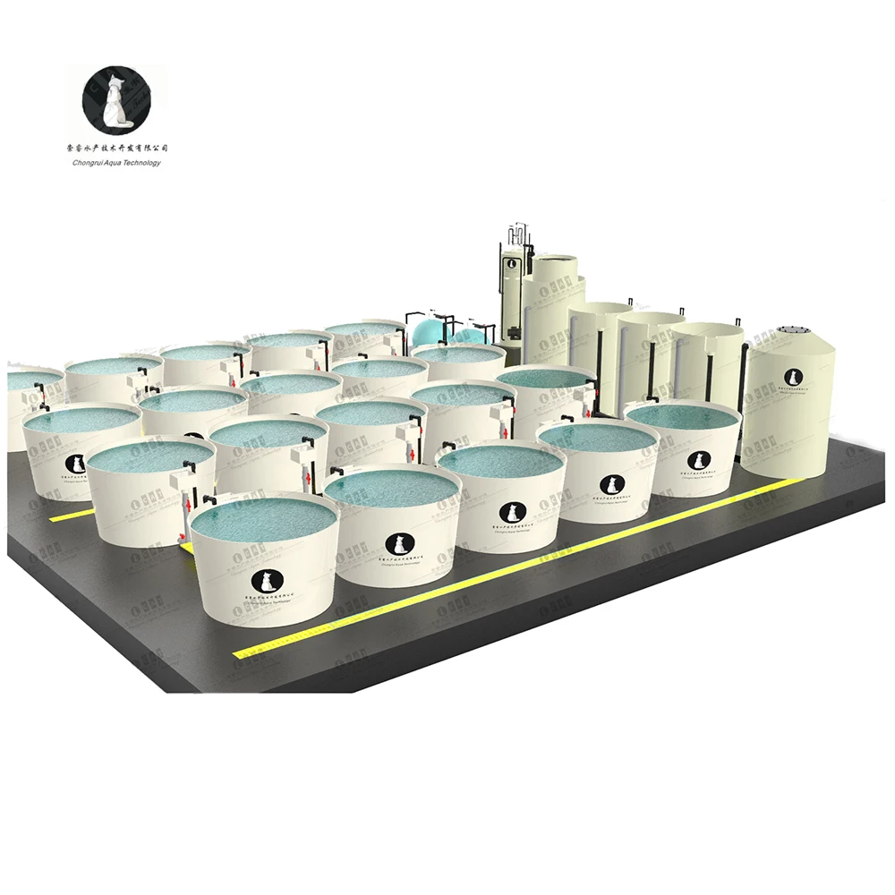 CATAQUA Integrated Modern Fish Shrimp Farm RAS System Recirculating Aquaculture