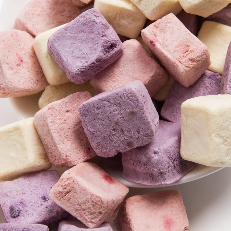 Freeze-Dried Yogurt Block Gefriergetrocknete Joghurt lyofilizovane Freeze Dried Yogurt Cube