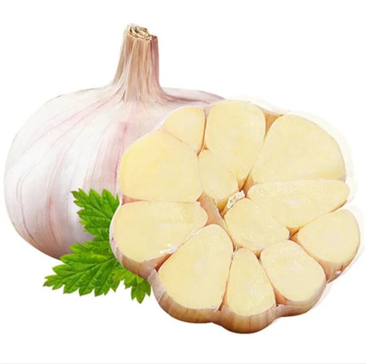hotsale Chinese fresh garlic,white garlic for taste
