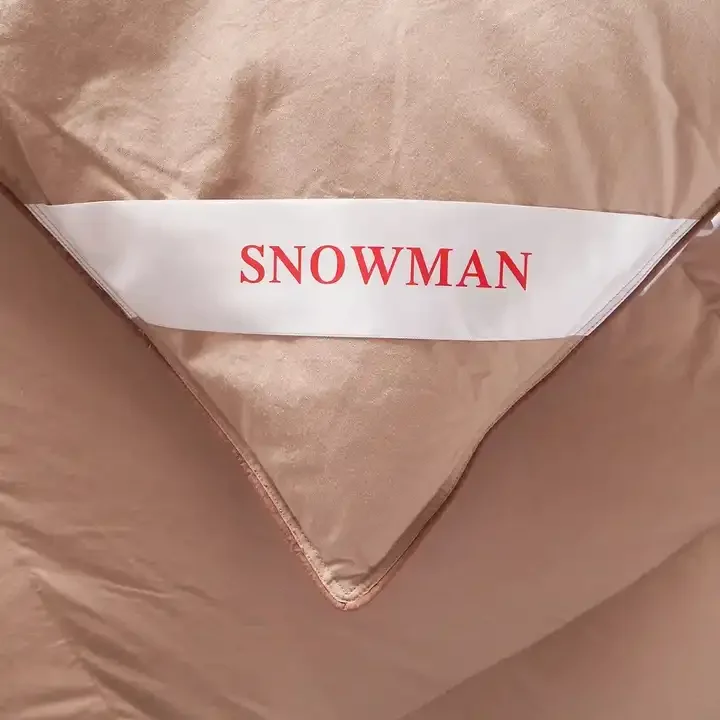 2024 China High Quality Duck Goose Feather Down Quilt Winter Duvet Luxury Household Duvet Cover Supplier