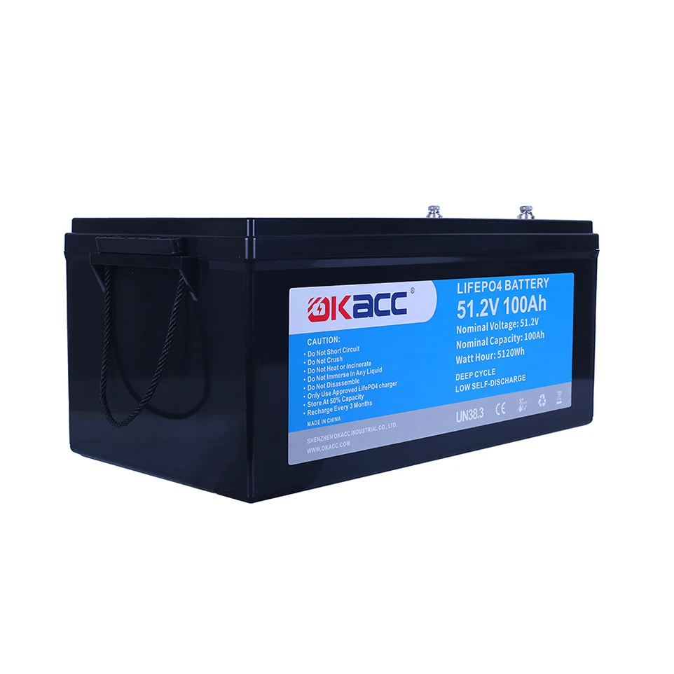 Smart Bms Deep Cycle Rechargeable Lithium Ion Battery 48 Volt 48V Lifepo4 100Ah