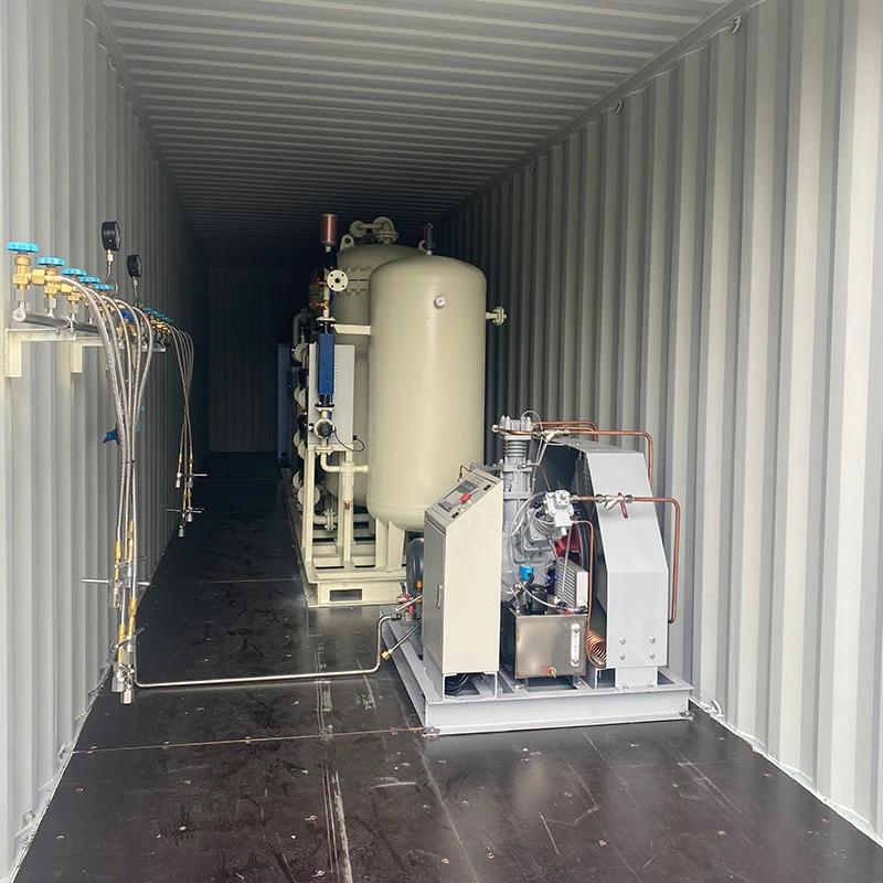 2022 NEWTEK oxigen generator oxygen gas plant high performance made in china