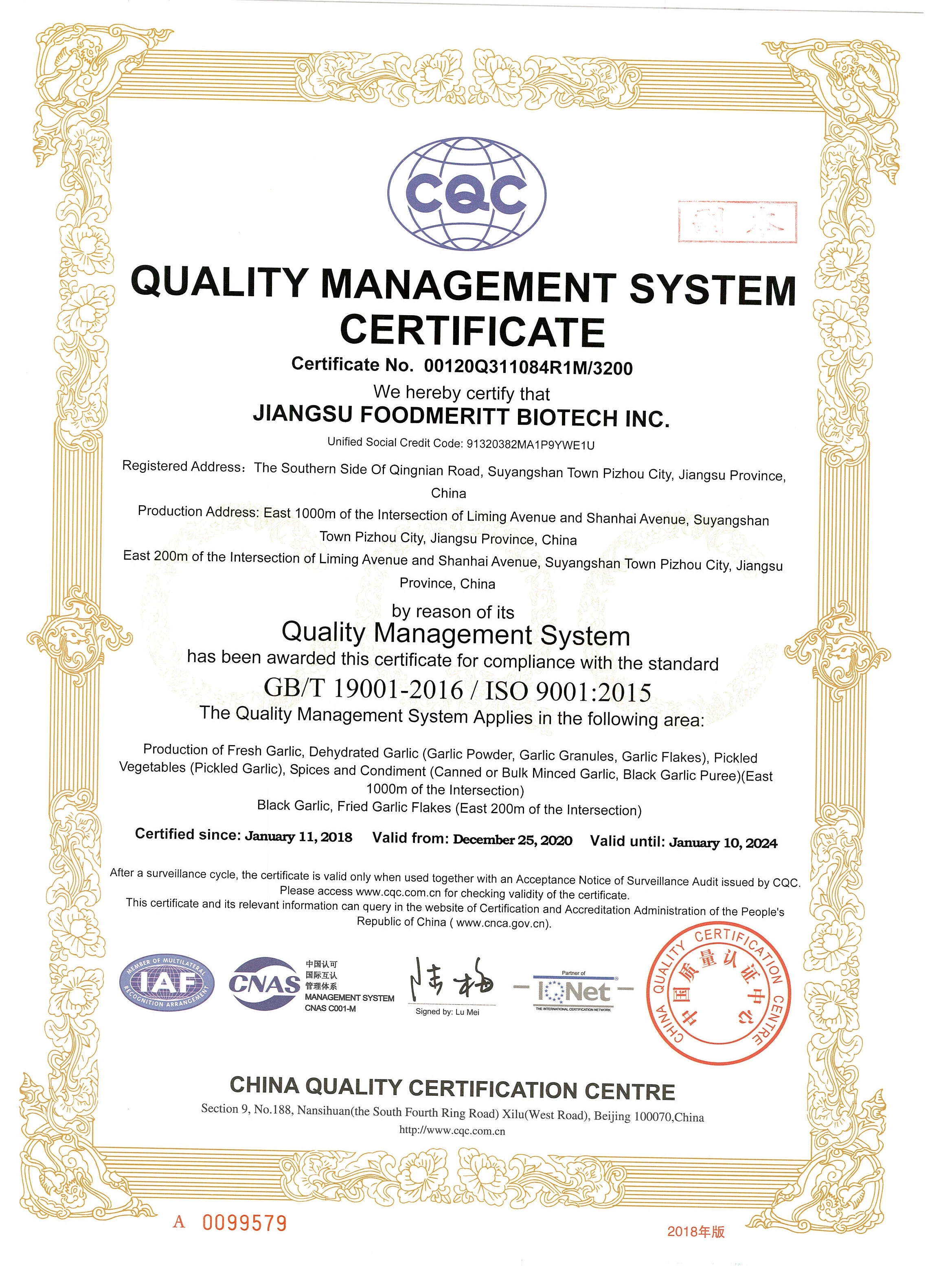 The great PIZHOU radish normal white & spicy high, new crop and well preserved in storage