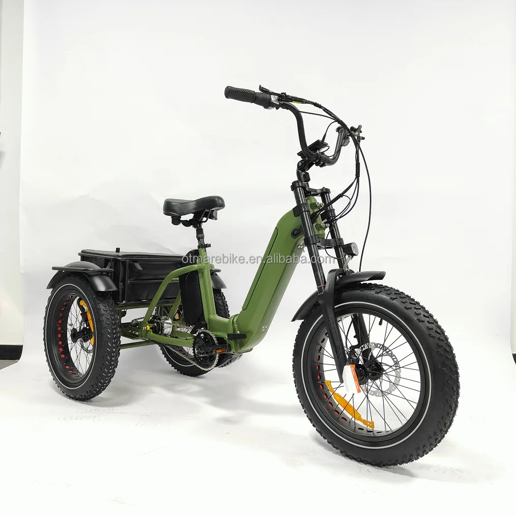 Custom 3 Wheel Fat Tire Electric Bicycle New Electric Tricycle Three Wheel Electric Bike Double Battery trike