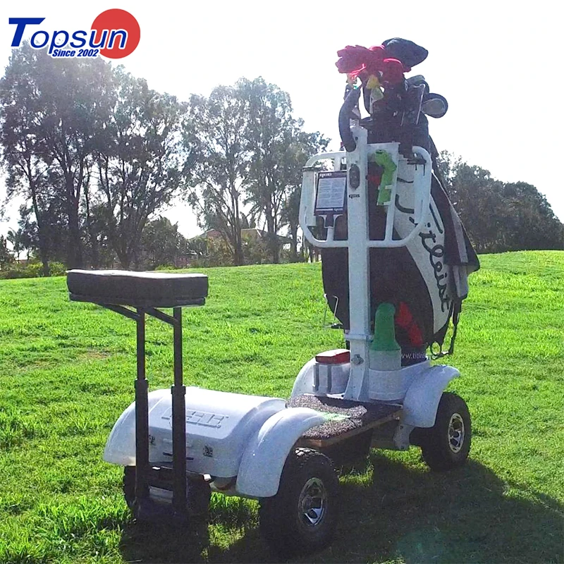 4 wheels 2000W Electric Golf Cart