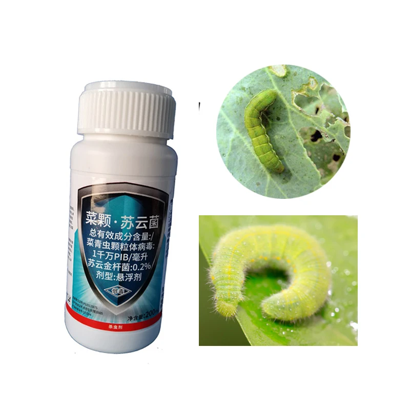 Organic pesticide to kill garden vegetable Plutella xylostella  Pieris Rapae Granulosis Virus PrGV
