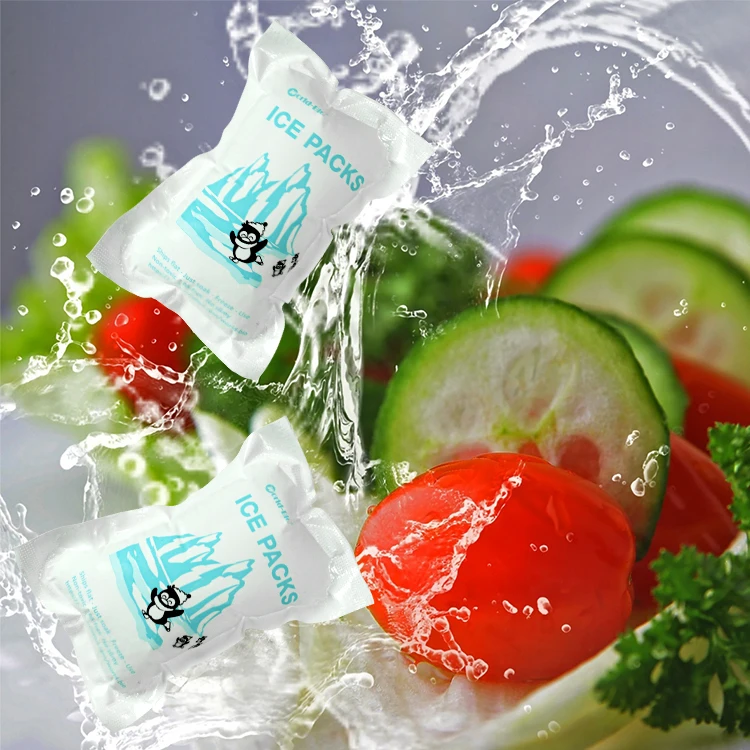 World-bio dry ice packs sheet for shipping frozen food self absorb water ice pack sheet for coolers