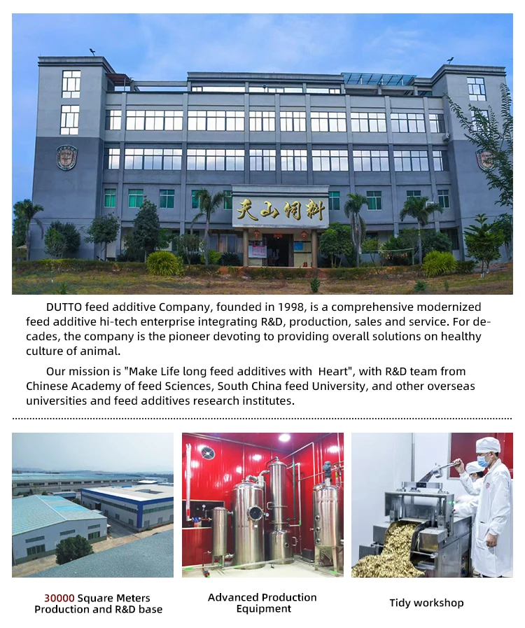 vitamin and mineral premix for dairy cattle