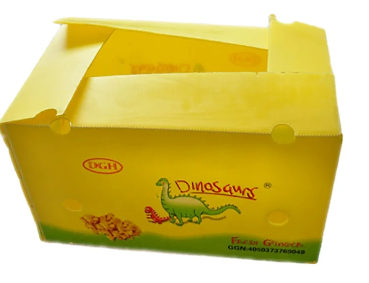 PP Plastic Corrugated Foldable Potato Packaging Tomato Broccoli Vegetable Storage Box Polypropylene Corflute Plastic Container